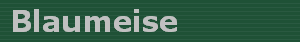 Blaumeise
