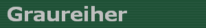 Graureiher