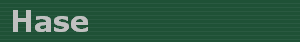 Hase