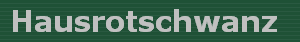 Hausrotschwanz
