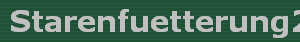 Starenfuetterung2