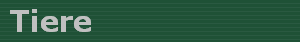 Tiere