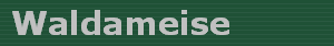 Waldameise